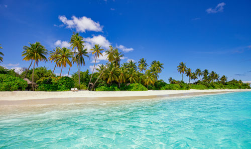 Common Health Concerns Travelers Face in the Caribbean And How to Handle Them